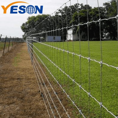 Wire horse fencing