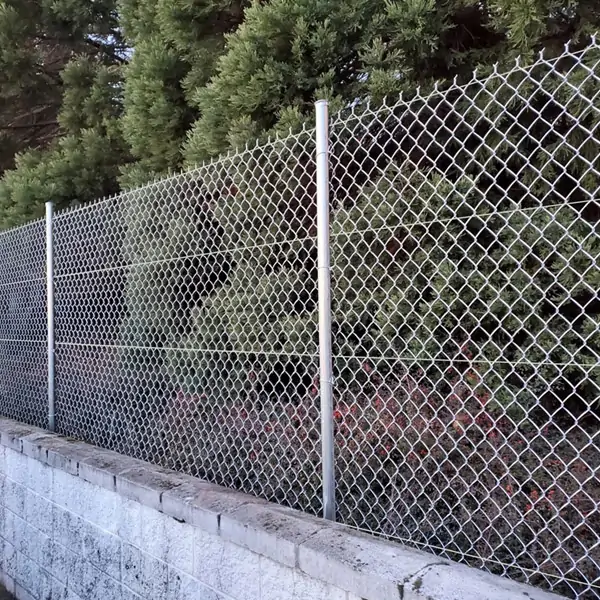 Galvanized Steel Chain Link Fence 19