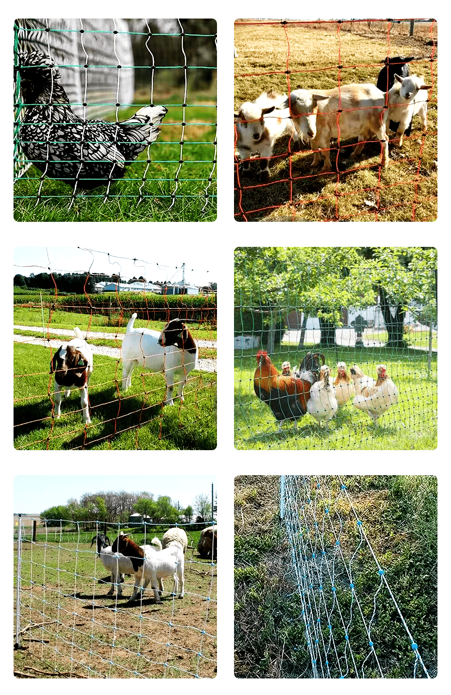 Electric goat fence application