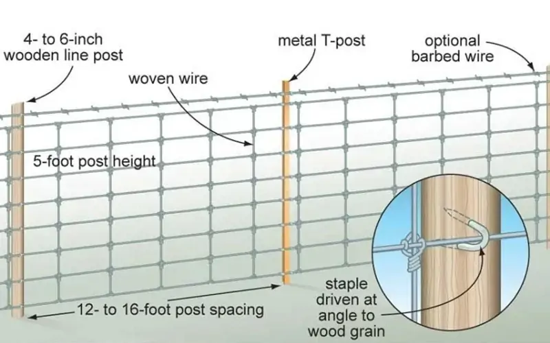 Fixed Knot Field Fence 5