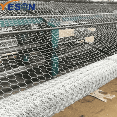 Hexagonal Wire Mesh 2