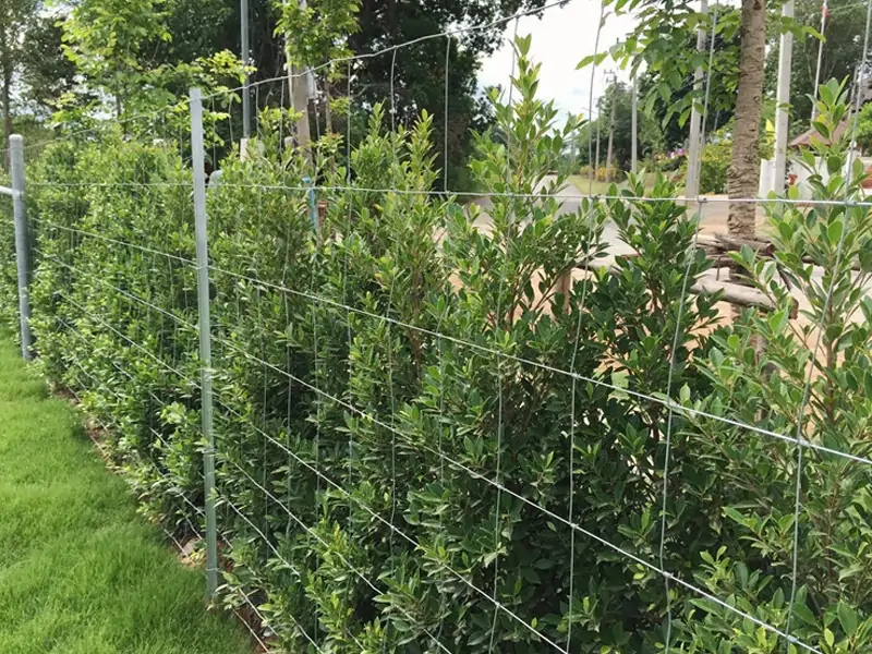 Hinge Knot Field Fence 12