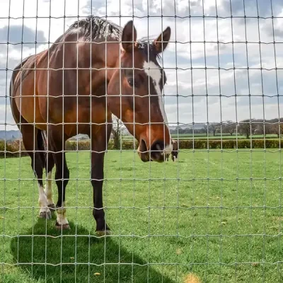 Square Knot Field Fence