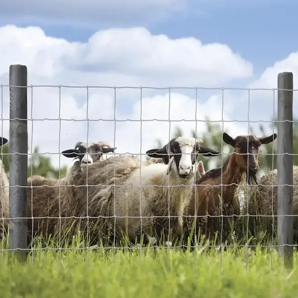 Veldspan Field Game Fence 12