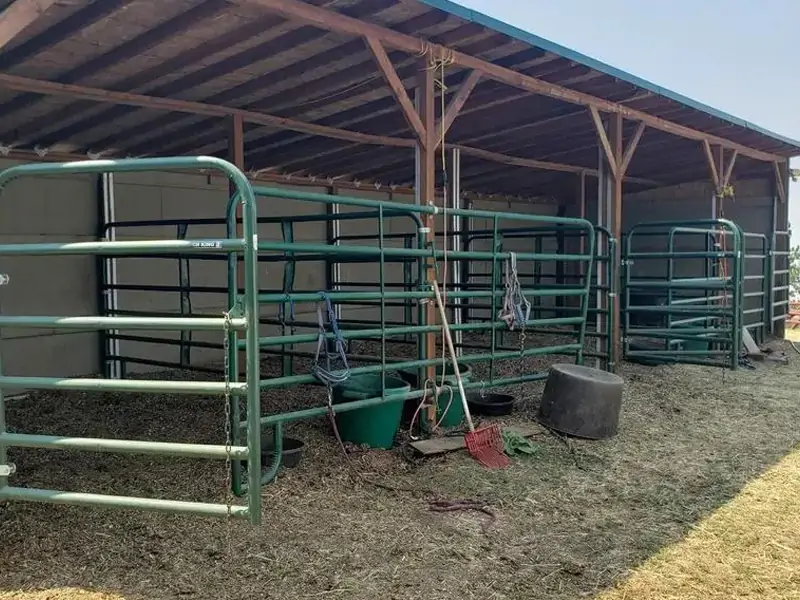 Horse Fence Panel 10