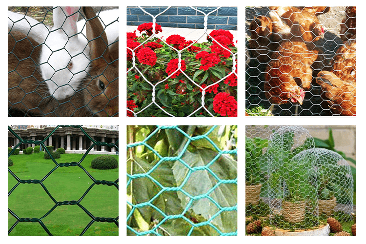 PVC Coated Hexagonal Wire Mesh Application