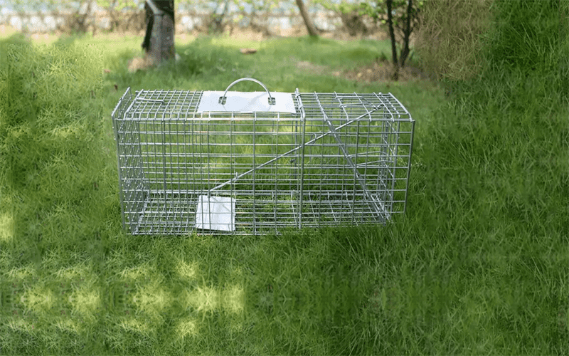 What is a animal trap cage?