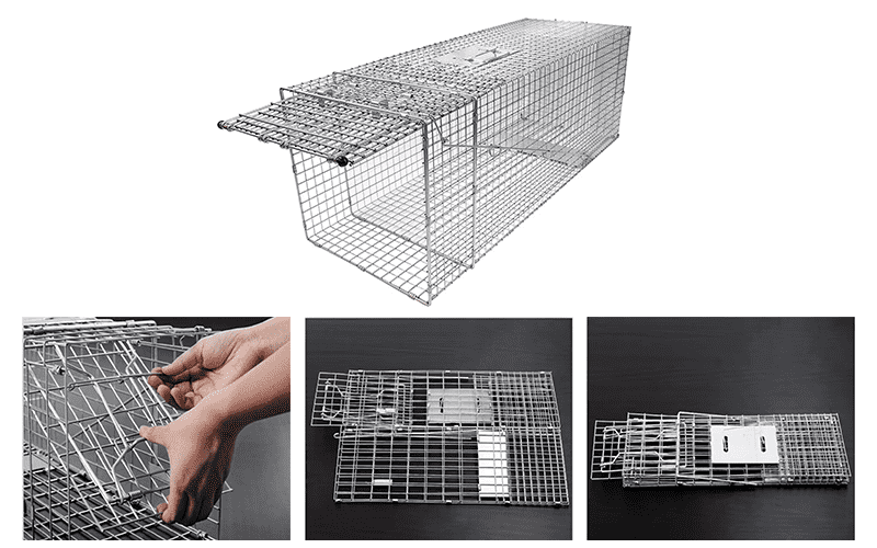 Trap Cage Features