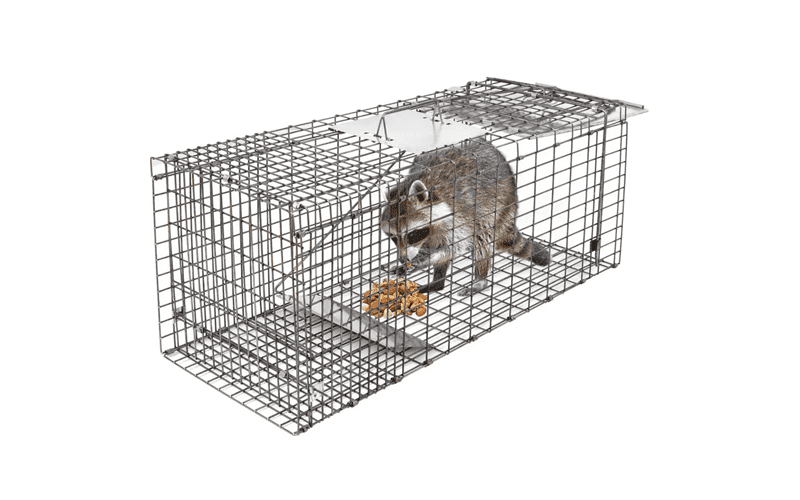 Animal Trap Cage