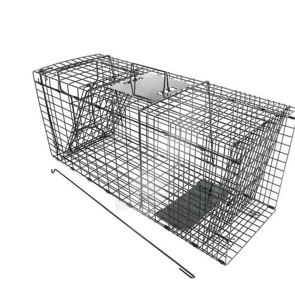 Collapsible Humane Animal Trap Cage 2