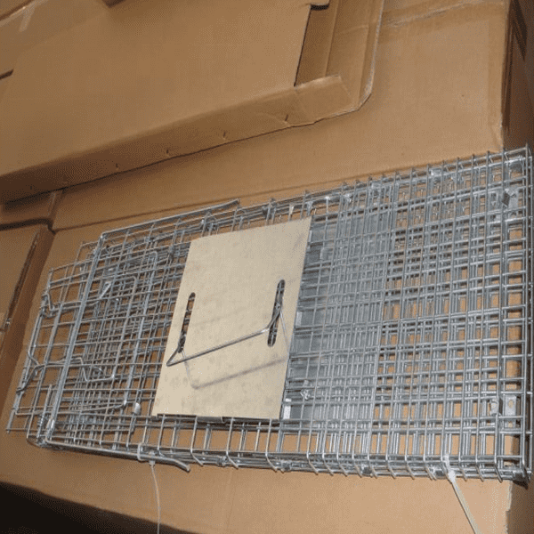 Collapsible Humane Animal Trap Cage 3