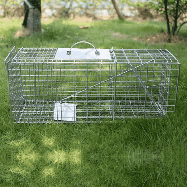 Collapsible Humane Animal Trap Cage 5