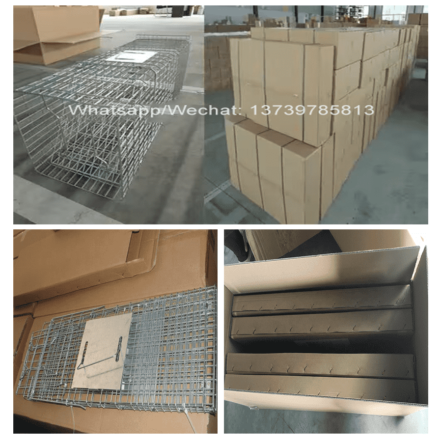 Collapsible Humane Animal Trap Cage Packing