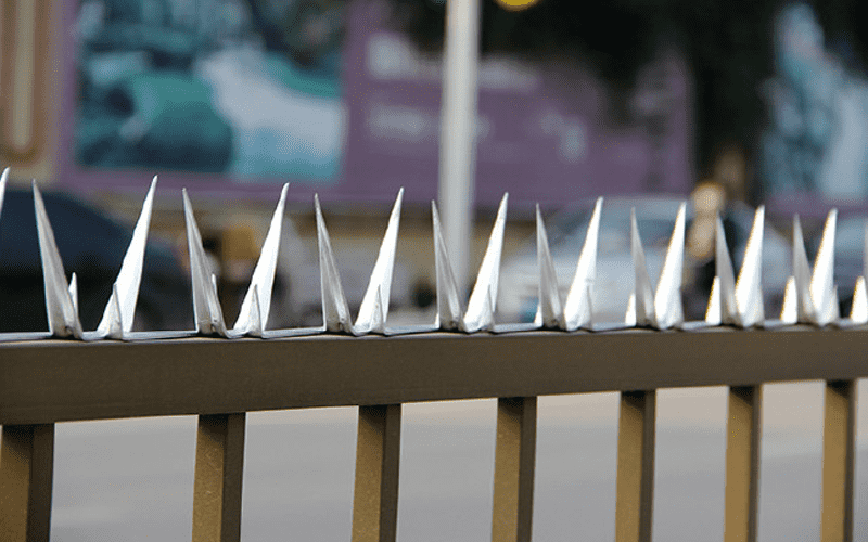 anti-climbing wall spikes