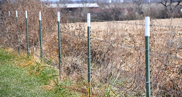 Farm Cattle Fence Post Spacing Guide