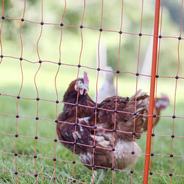 Poultry Netting Electric Fence 5