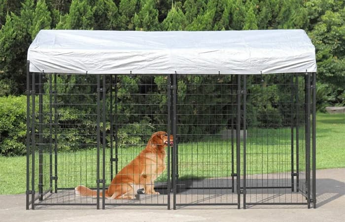 Dog Cage Kennel