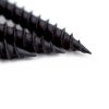 Black Phosphated Drywall Screw 3
