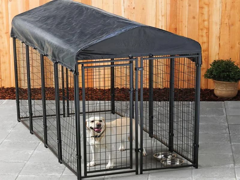 Metal Welded Dog Cage Application 10