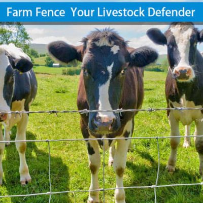 10 Essential Features of Cattle Fences in Australia