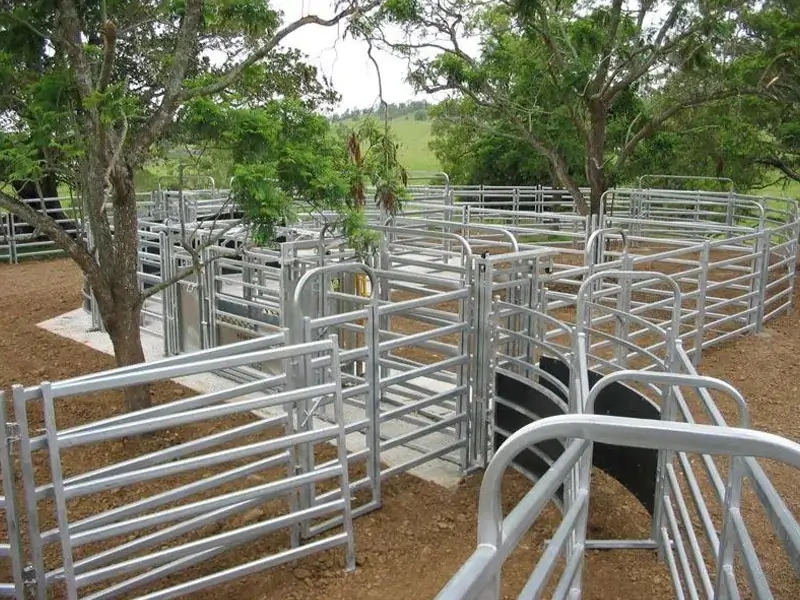 Cattle Panel 18