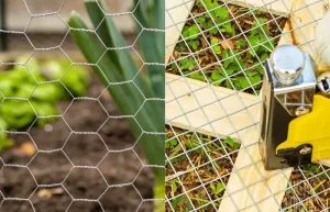 Hardware Cloth vs. Chicken Wire – The Ultimate Guide